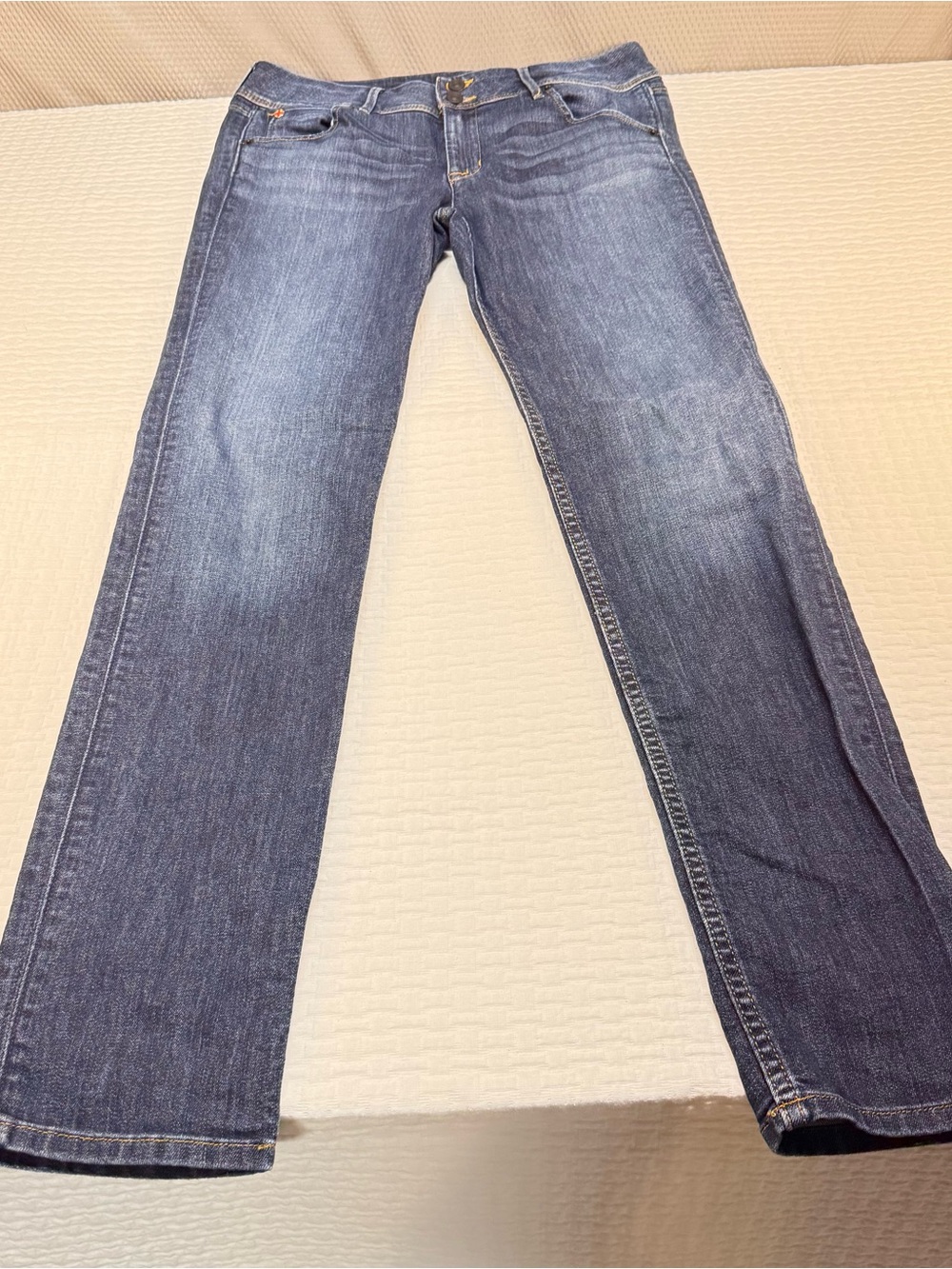 Hudson Jeans Women's Skinny Jeans - Indigo Blue Wash